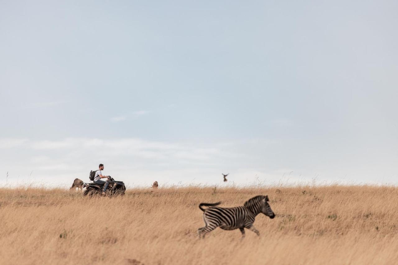 Dawsons Game Lodge Badplaas Eksteriør billede
